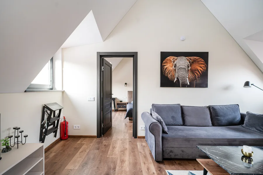 Cozy Central Attic